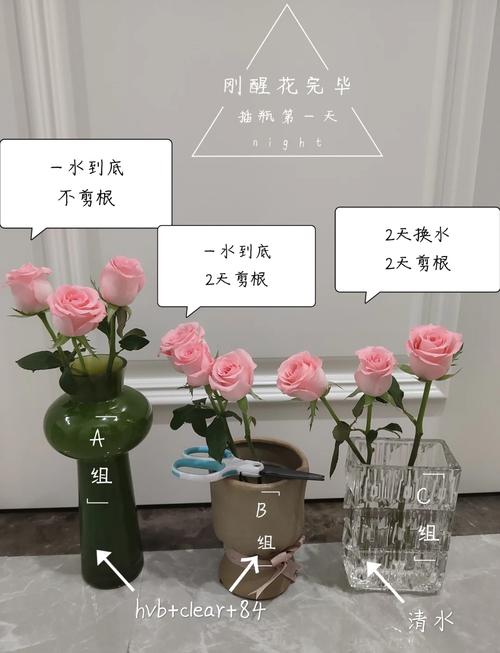 如何高效使用玫瑰行动官网进行绅士游戏攻略