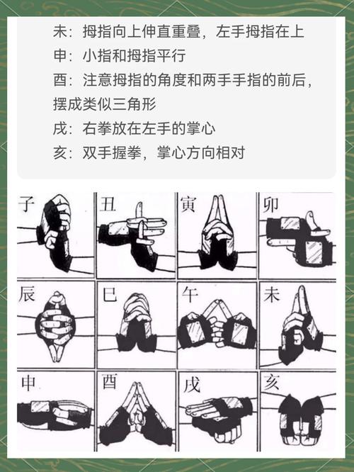 如何高效使用火影淫者官方网站：新手实用教程