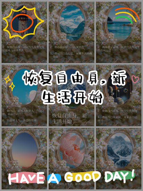 探索《我的新生活》：安卓用户的全新体验与深度分析