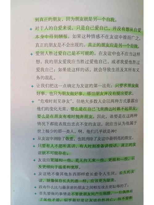 深入解析《友情与利益2》：绅士游戏的多重维度