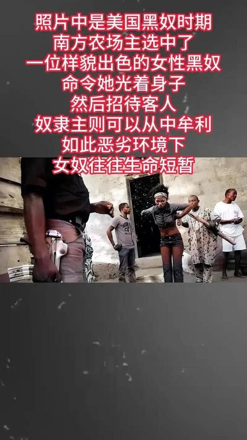 揭秘奴隶们最新：新手入门指南