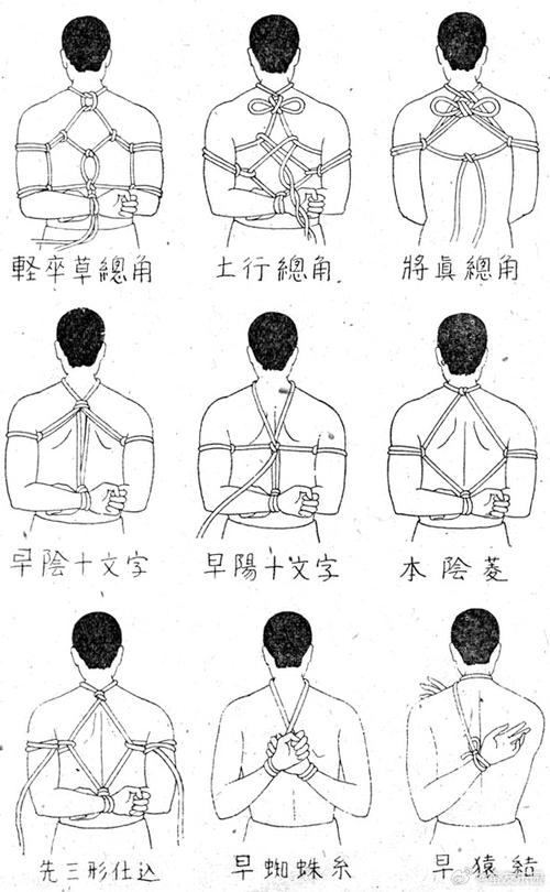 如何有效使用奴隶训练官网：新手指南