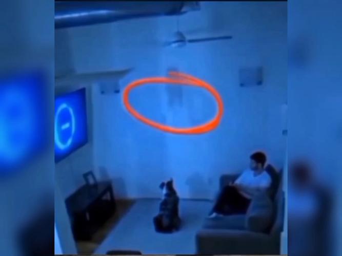 屋内有鬼版本大全：实用教程与技巧指南