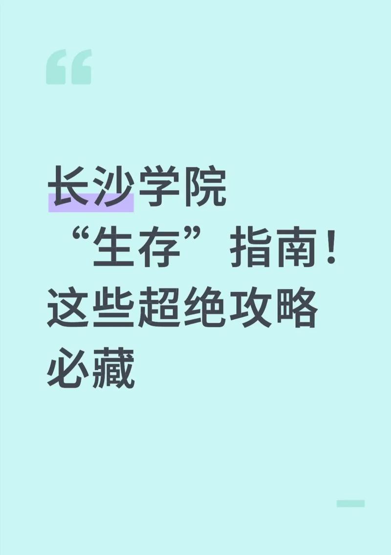 如何高效使用神级学院官方网站的全攻略