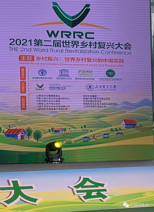 深度复兴官方网站使用指南：新手入门教程