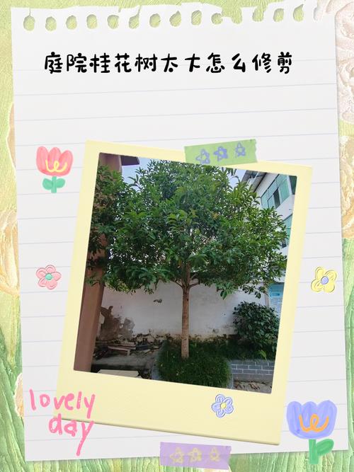 如何有效使用庭树沐年官方网站进行游戏攻略