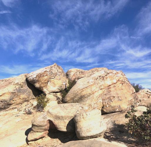 探索圣塔县的生活杨过游戏：深度分析与实用见解