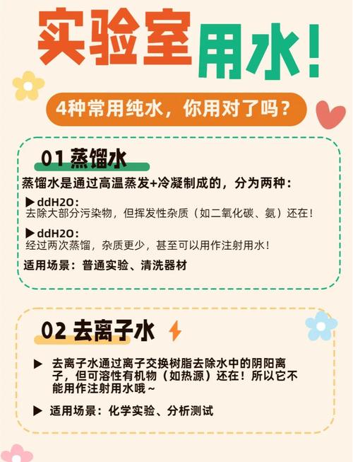 如何有效访问和使用水疗中心官方网站的详细教程