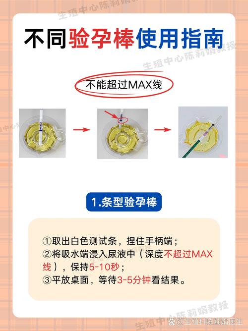 如何有效使用NLT合集官方网站：新手教程