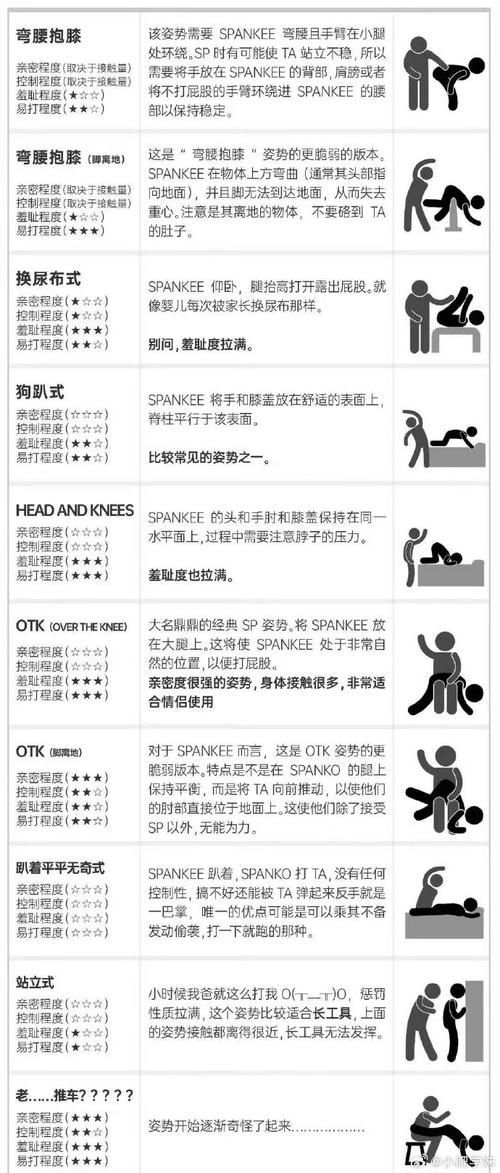 如何有效使用NLT合集官方网站：新手教程