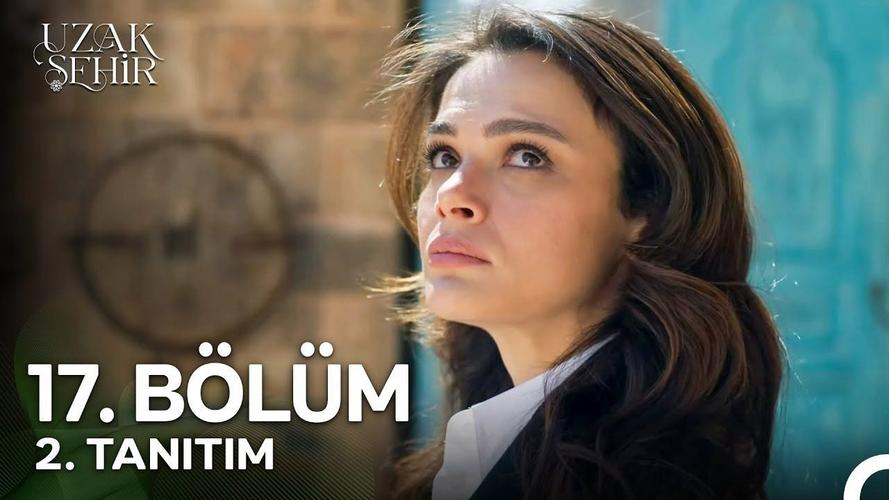 应为我爱她2：最新版本及其深度分析