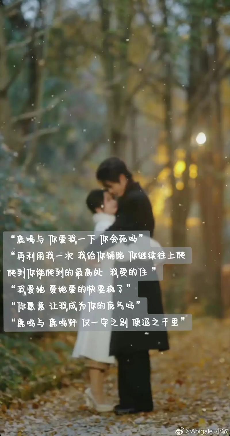 应为我爱她2：最新版本及其深度分析