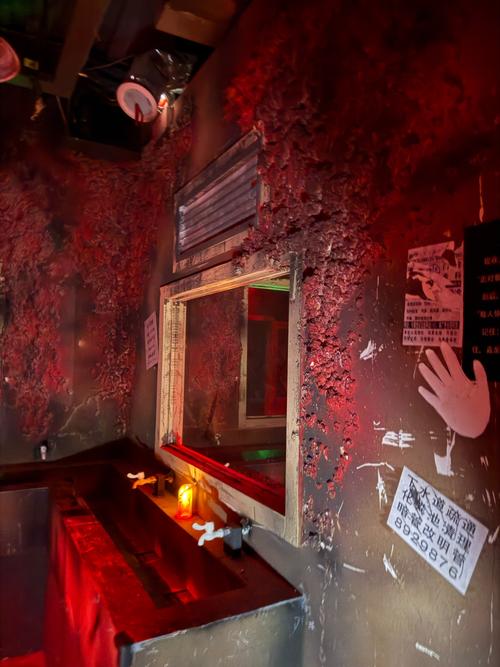 探索“屋内有鬼”游戏官网的独特魅力与深度分析