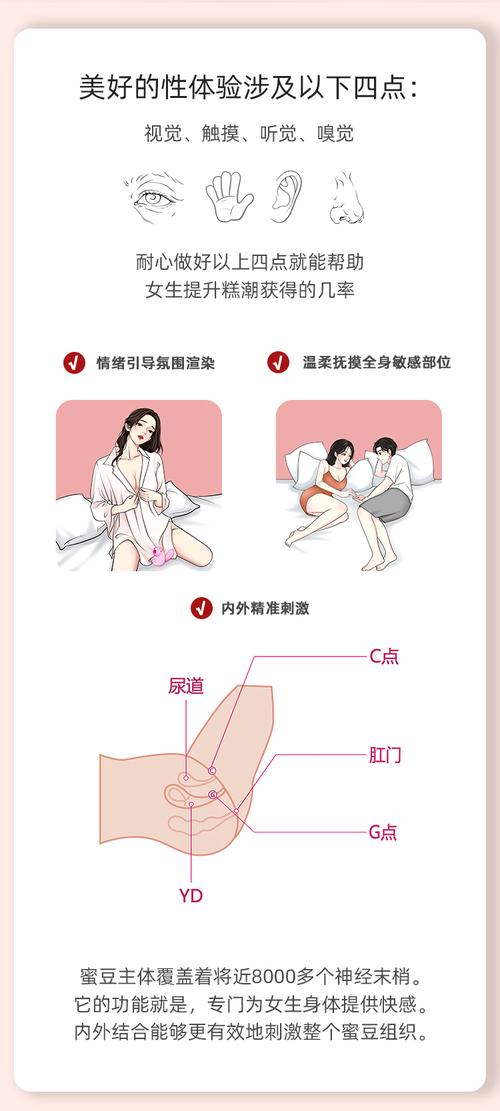 如何高效使用欲妹幻想官网：新手入门教程