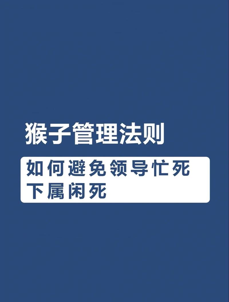 猴子生意最新：实用教程与操作步骤