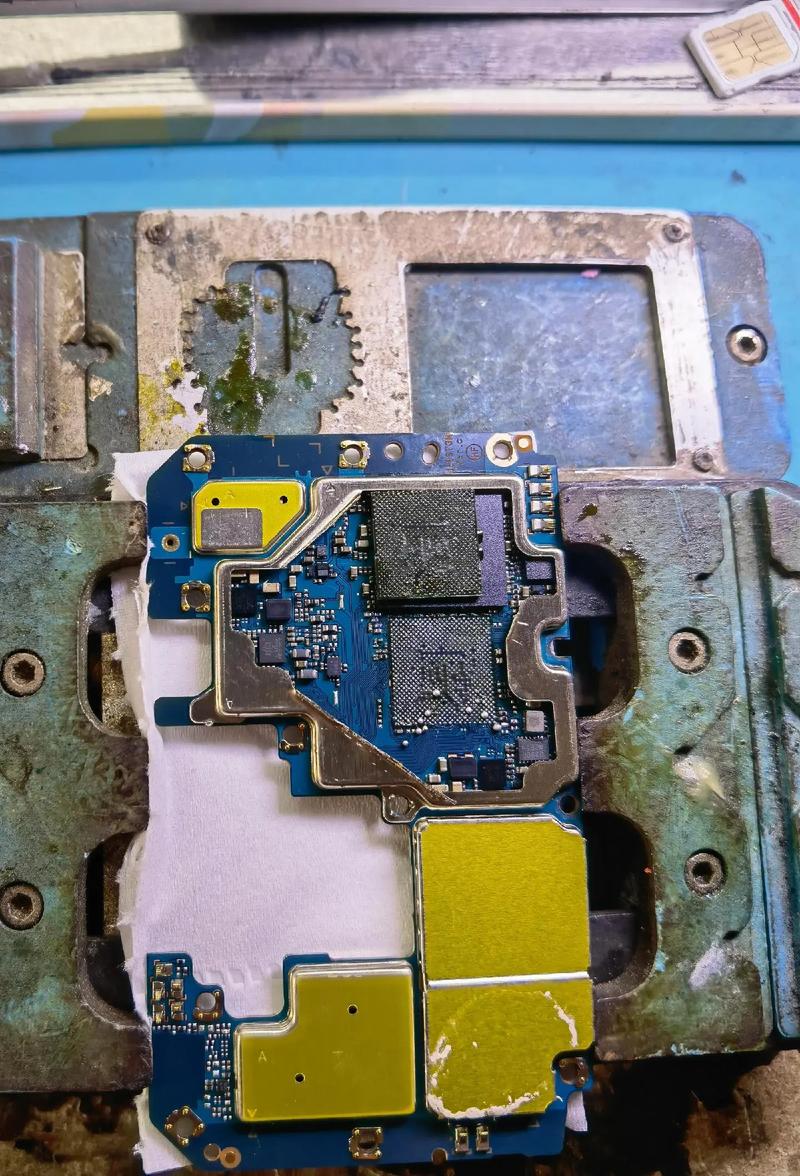 安卓设备上处理内部寄生虫的实用教程