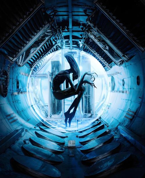 探索未知的边界：异形探索官方正式版下载最新版的深度分析