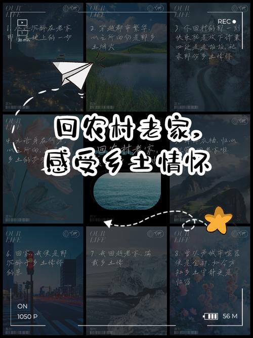 回到农村官方网站:重塑乡村生活的数字平台