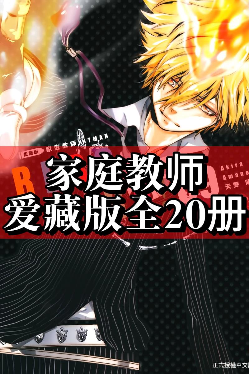 家贞教师最新版本获取及安装详细教程