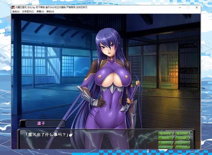 对魔忍雪风游戏攻略：新手必备实用教程