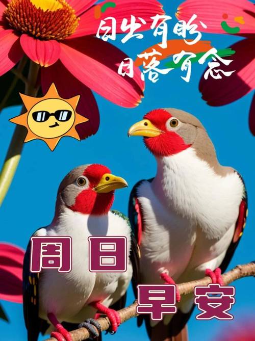 愉快的生活更新地址：实用详细教程