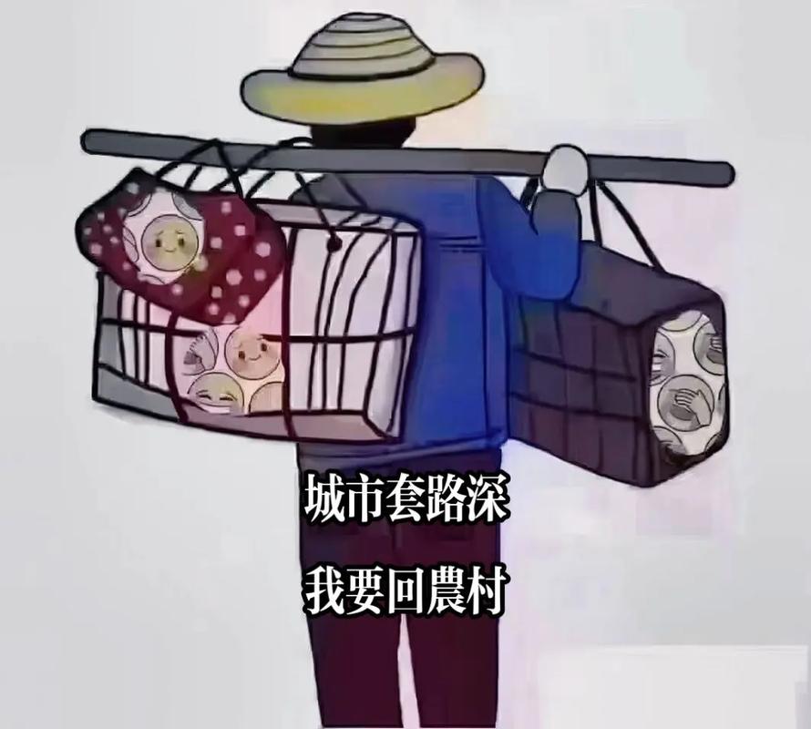 回到农村版本大全：深度解析与实用建议