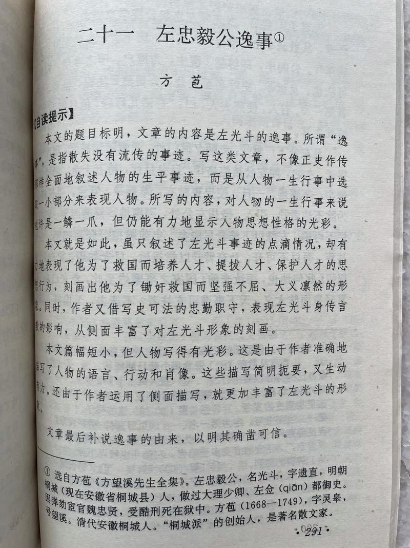 《离群之木的五日后杨过游戏》实用教程：新手指南