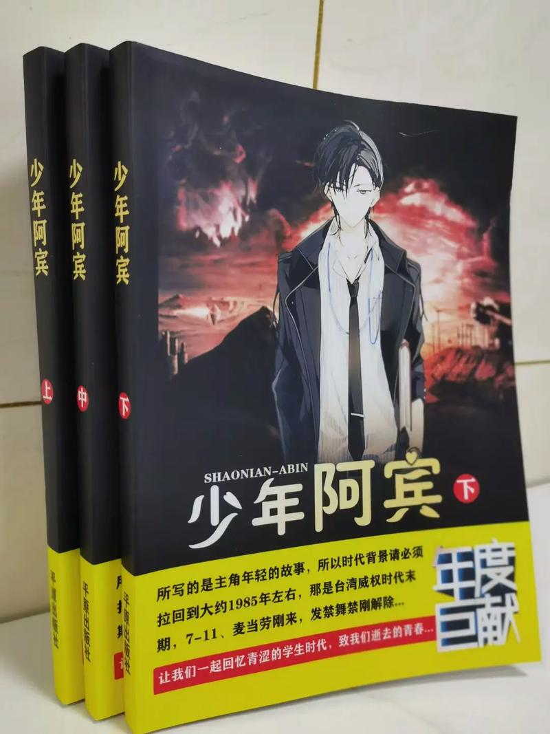 少年阿宾小说游戏的深入解析与攻略指南
