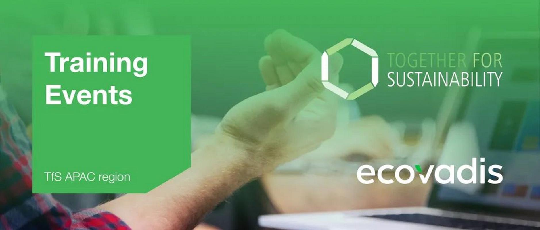 深入探讨siwamama游戏官网：绅士游戏中的新兴力量