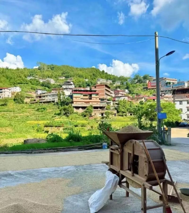 我的乡村生活版本大全：新手玩家实用教程