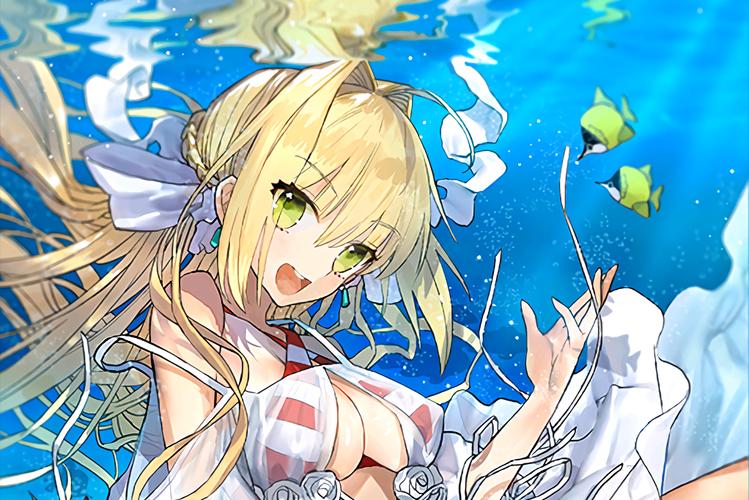 深入探索“尼禄的海滨一日游”最新版本：机遇与挑战