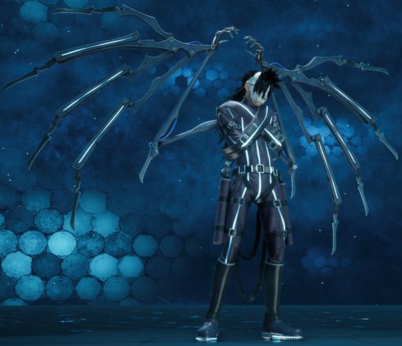 深入解析“尼禄的海滨一日游最新版本”