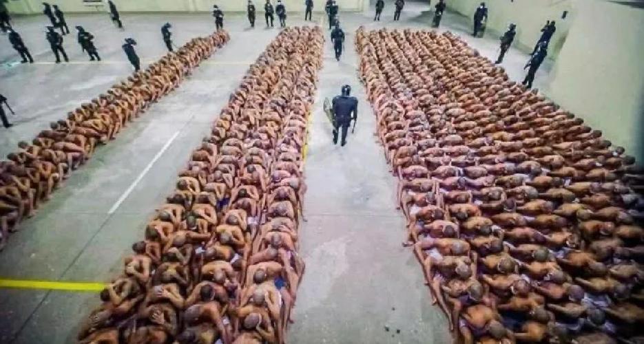 深度解析《监狱岛的巨乳女看守》游戏攻略