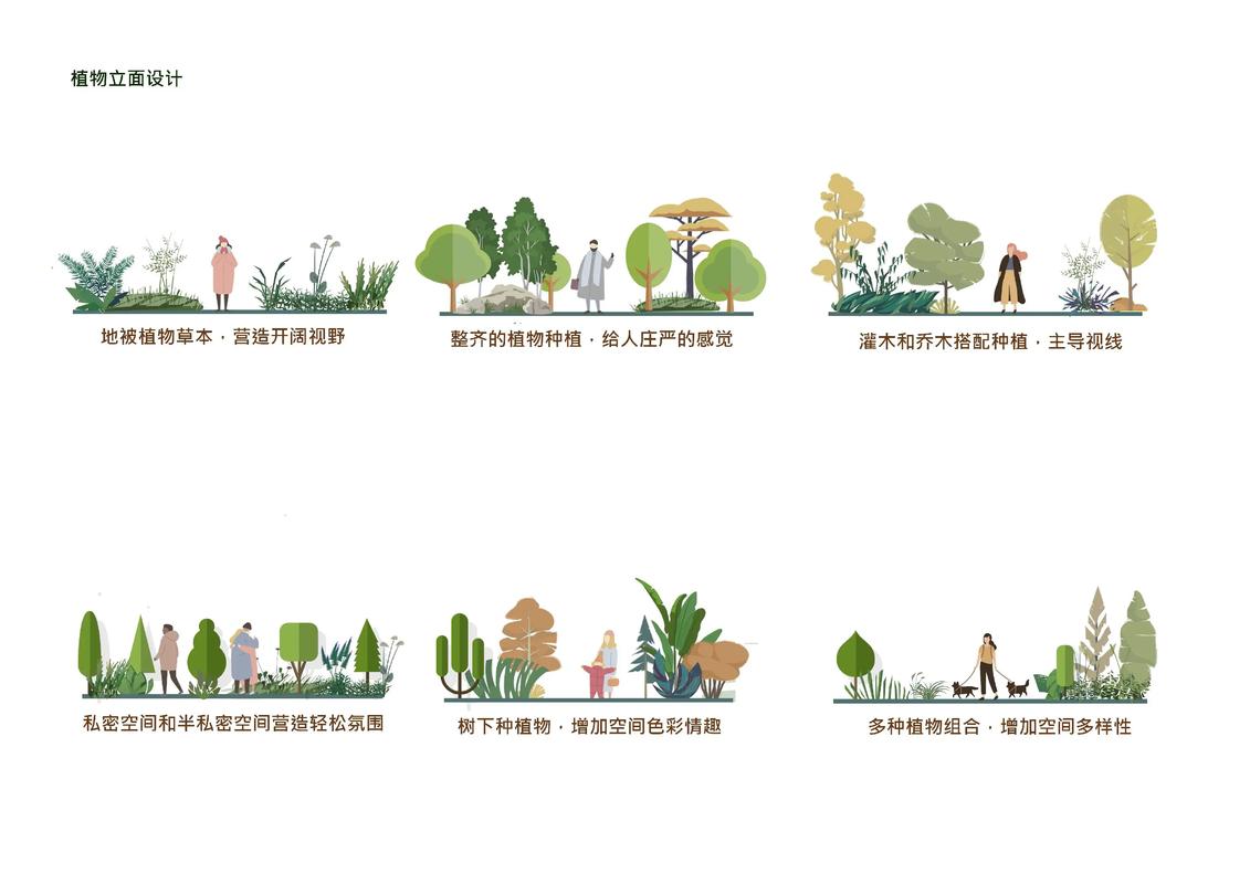 深度分析：H版植物大战僵尸官网的魅力与挑战
