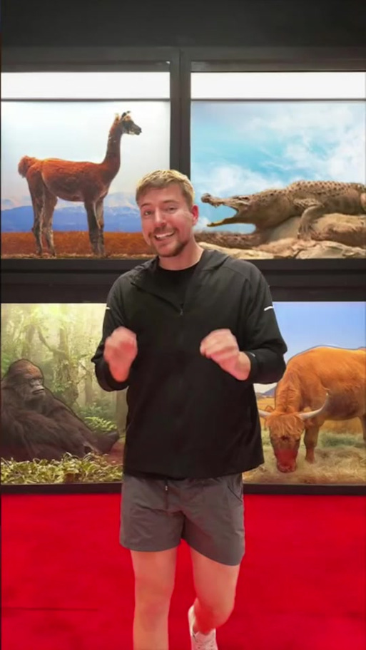 阳光下的野兽最新版本实用教程