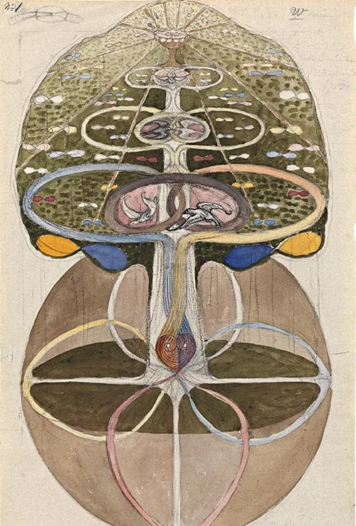 探索《好色的维克多》的安卓版本：魅力与挑战并存的绅士游戏