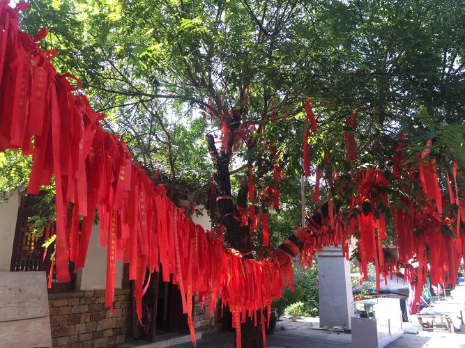 阳光下的野兽下载地址获取与安装详细教程