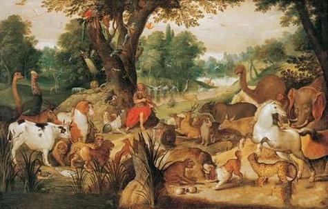 探索《伊甸园伊甸碎片最新版本》的深度：机制与体验的交融