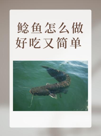 如何高效使用亚马逊鲶鱼官网进行产品采购