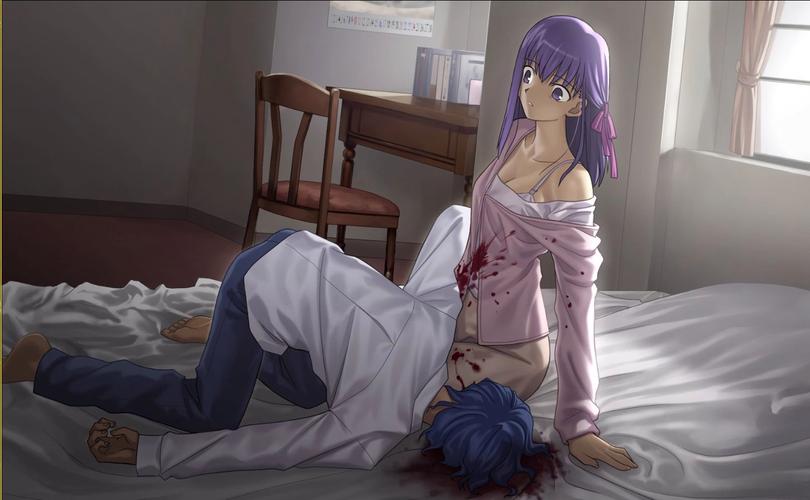 Fate DS汉化版最新更新内容深度解析