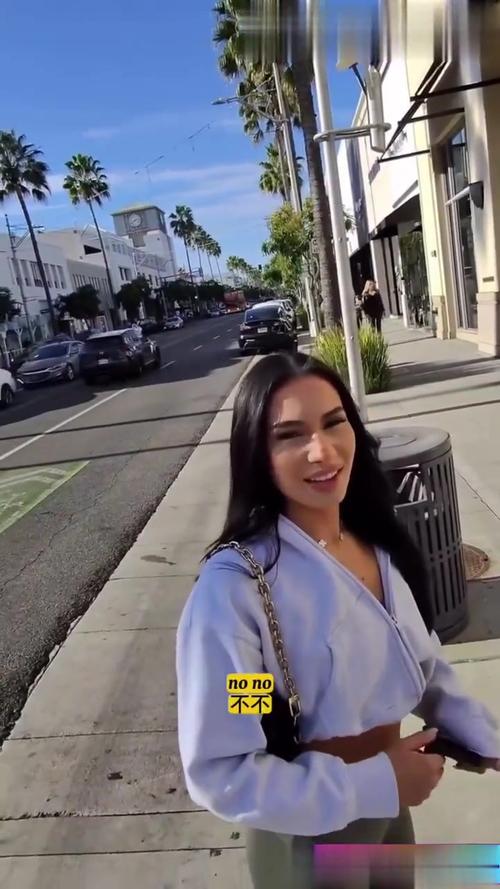 欧美大神搭讪服务员版本大全的深度分析与实用洞见