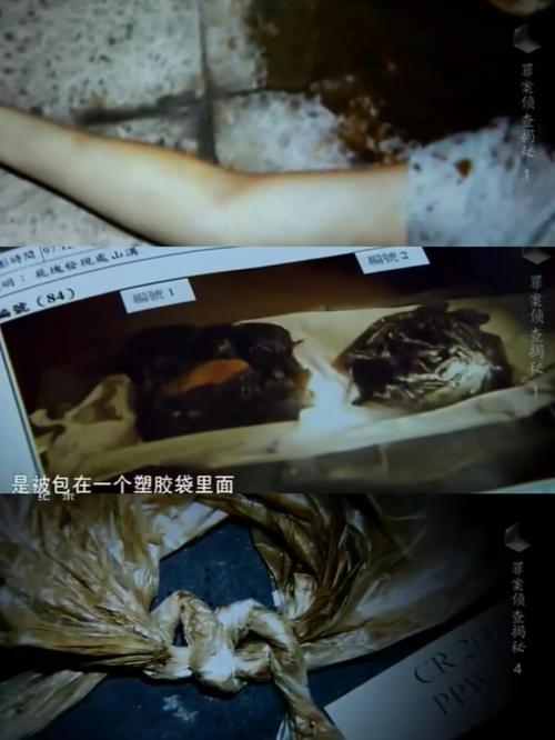 深度解析：盗摄视奸现象及其下载途径的探讨