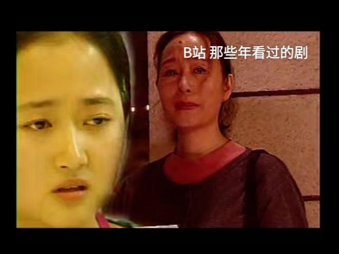 再婚家庭的奇妙故事：安卓汉化的深度解析