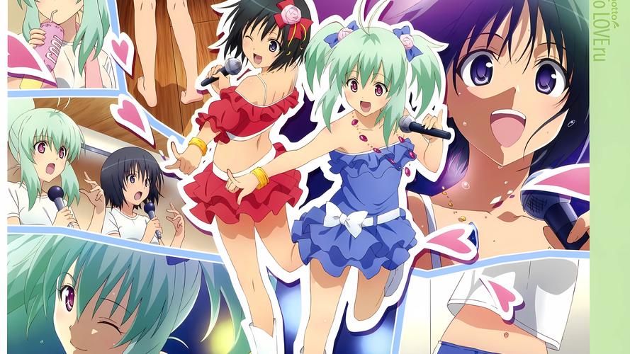 深入解析TOlove官方正式版下载最新版的魅力与潜力