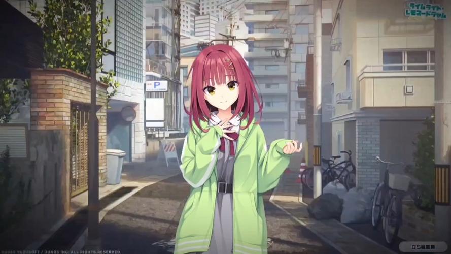 NTRman合集安卓使用教程:新手入门指南