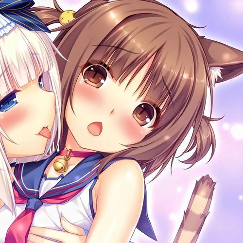 巧克力与香子兰最新版本实用教程：从入门到精通