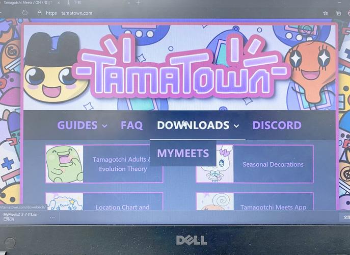 瓦尼亚的城堡游戏官网使用指南：新手必看教程