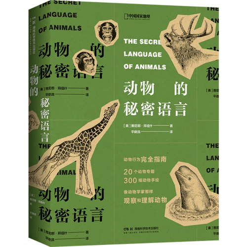深入分析“我们的60天下载安卓”的市场趋势与发展前景