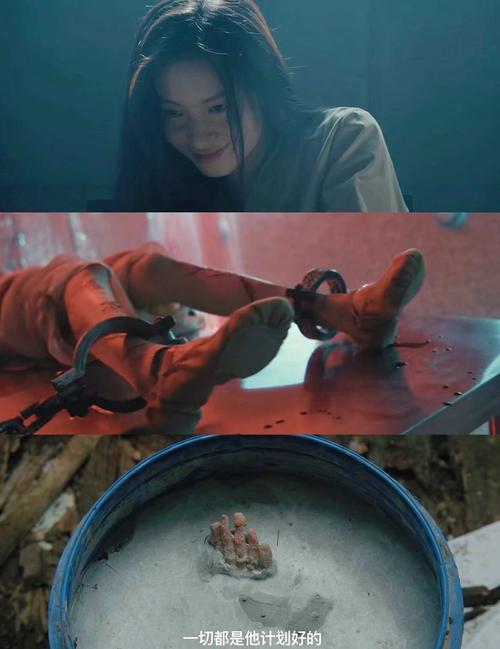 探秘“应为我爱她2”最新版本：新特性与玩家体验的深度分析