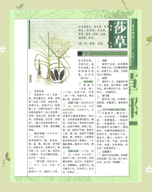 如何有效使用少女莎草纸官网：新手实用教程